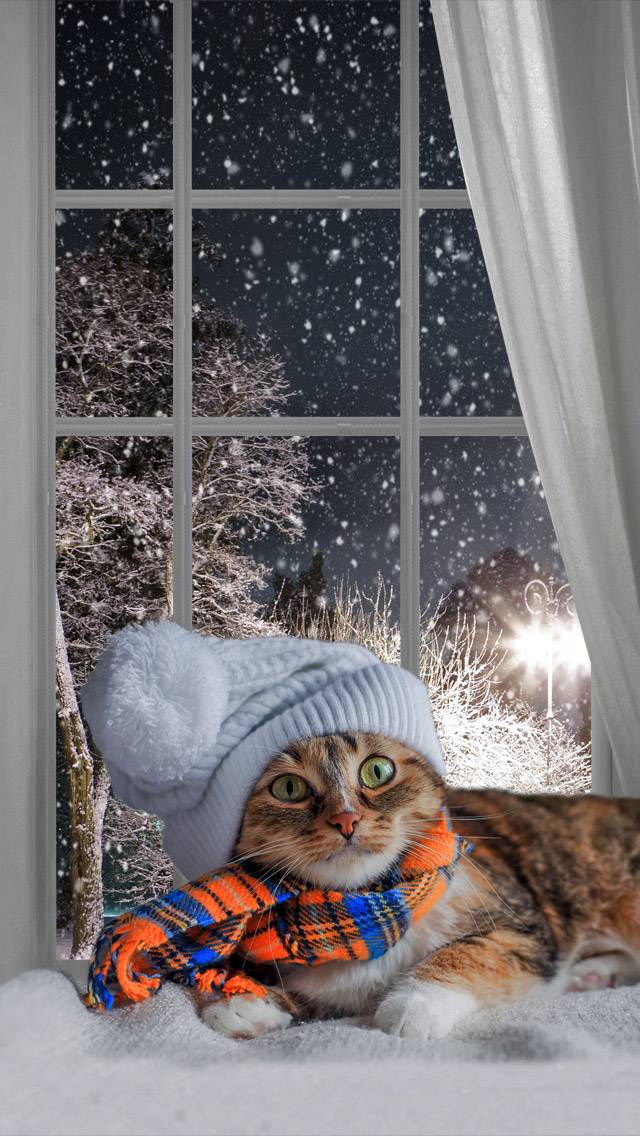 Weather Kitty showing light snow weather